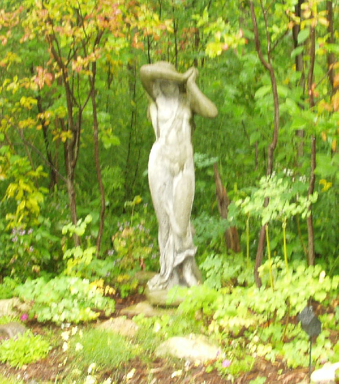 Photo10 Maiden in Woods