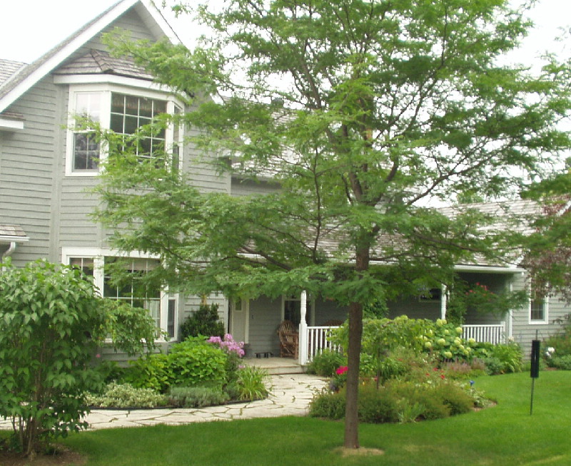 Photo 1 - Front Entrance