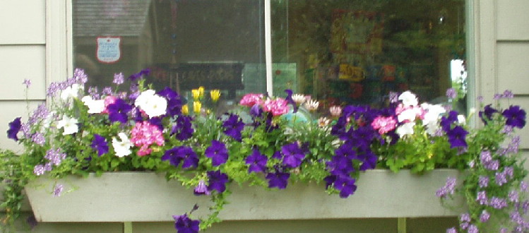 Photo 11 Window Box