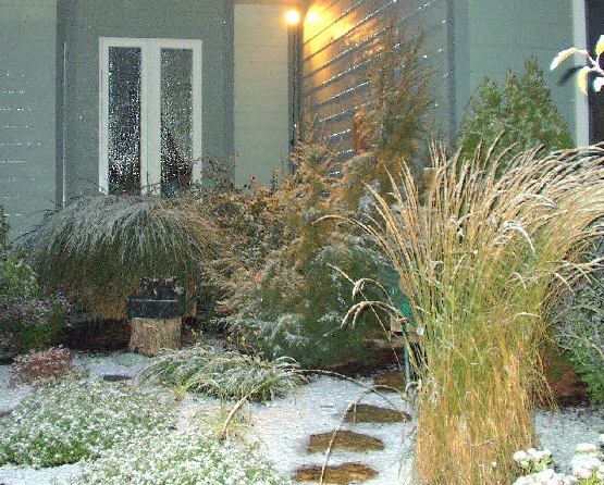 Photo 5 Early Winter