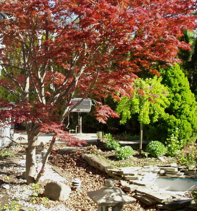 Photo 7 Japanese Style